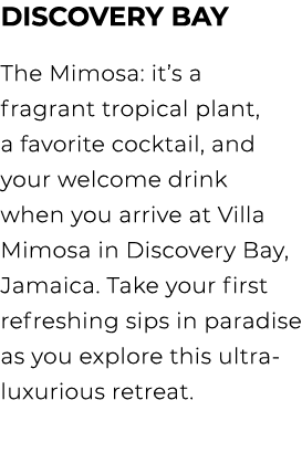 Discovery Bay The Mimosa: it’s a fragrant tropical plant, a favorite cocktail, and your welcome drink when you arrive...