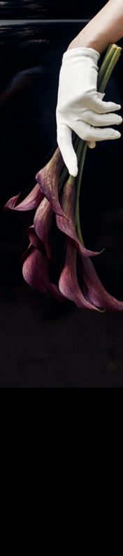 elegant gorgeous bride hand in silk glove holding wedding bouquet of callas on backgound of stylish luxury black car. unusual adorning in retro style. minimalistic