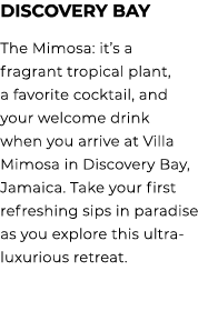 Discovery Bay The Mimosa: it’s a fragrant tropical plant, a favorite cocktail, and your welcome drink when you arrive...